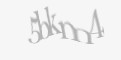 Sigurnosni kod